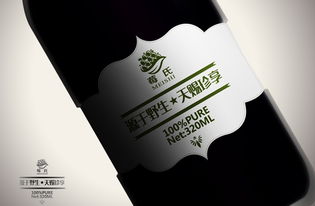 莓氏野生蓝莓果汁“灵智飞扬” 品牌设计的力量